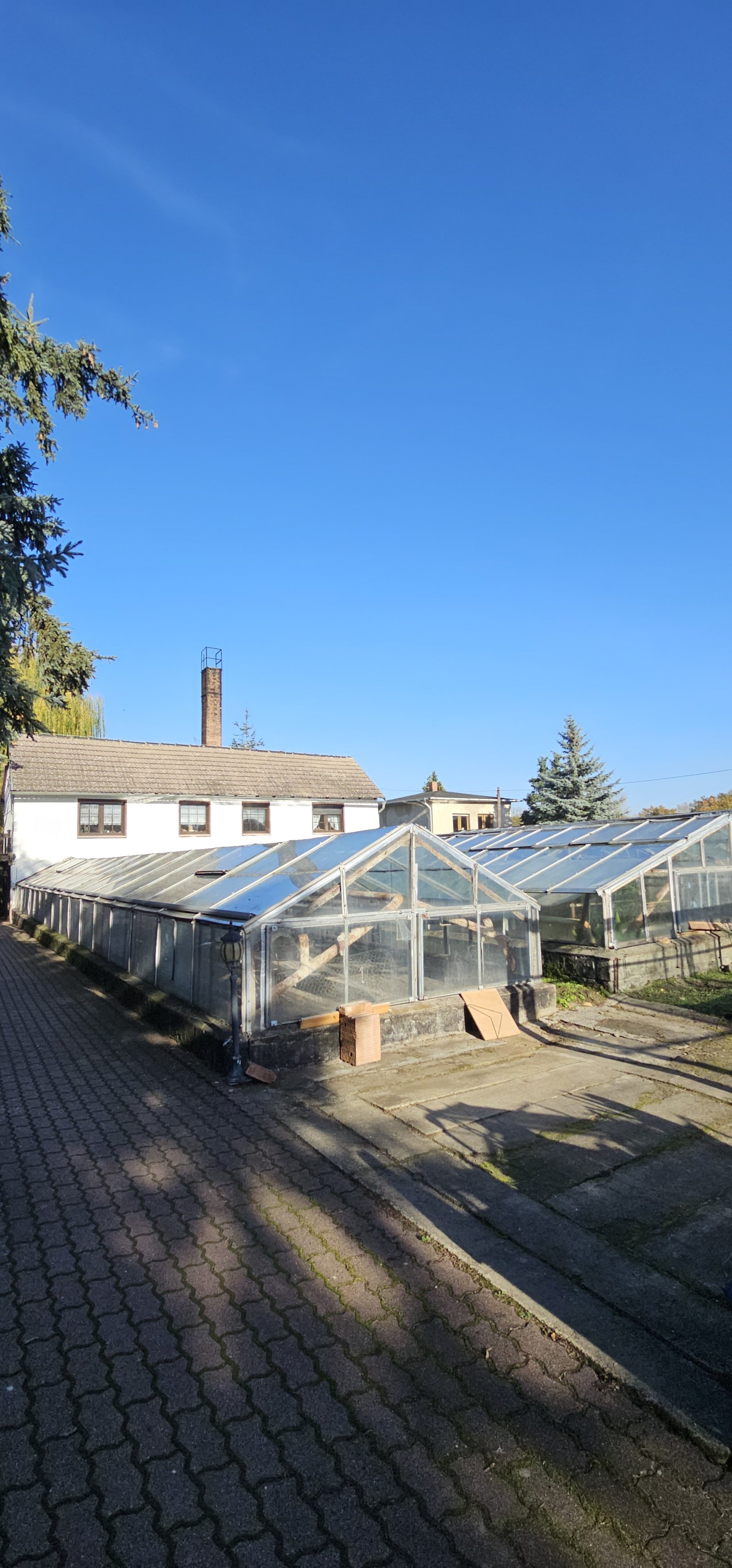 Charmante ehemalige Gärtnerei mit vielfältigen Nutzungsmöglichkeiten in zentraler Lage von Aken 