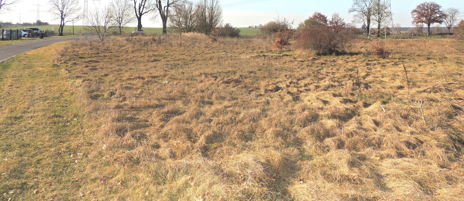 Grundstück noch als Ackerland 