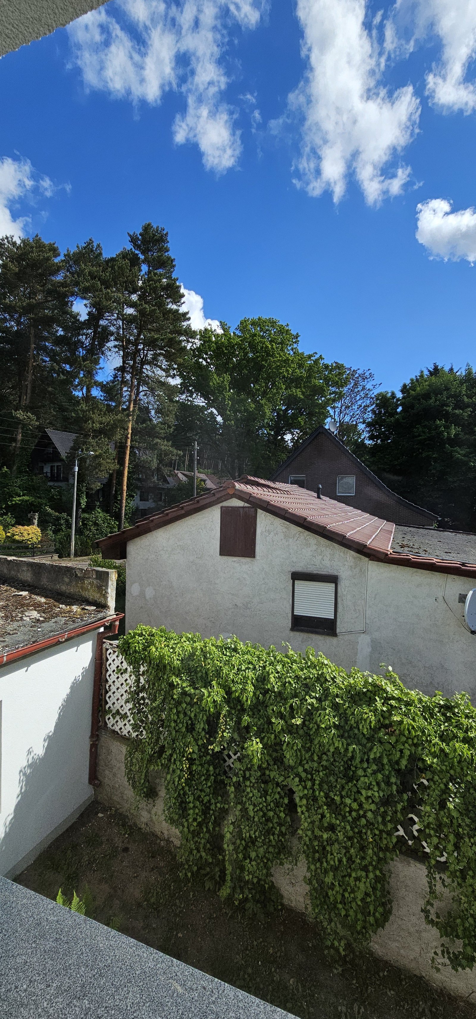 saniertes Mehrgenerationshaus in Reinsdorf