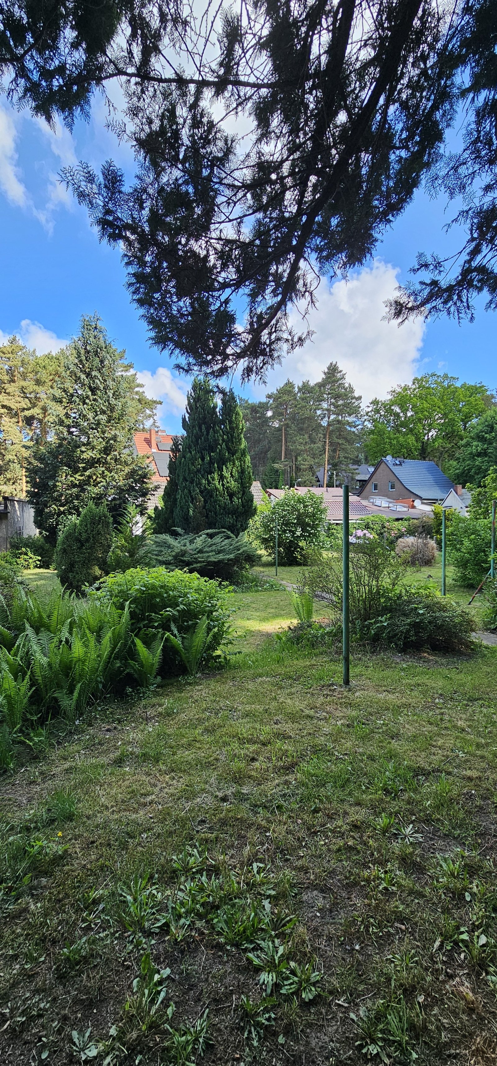 saniertes Mehrgenerationshaus in Reinsdorf