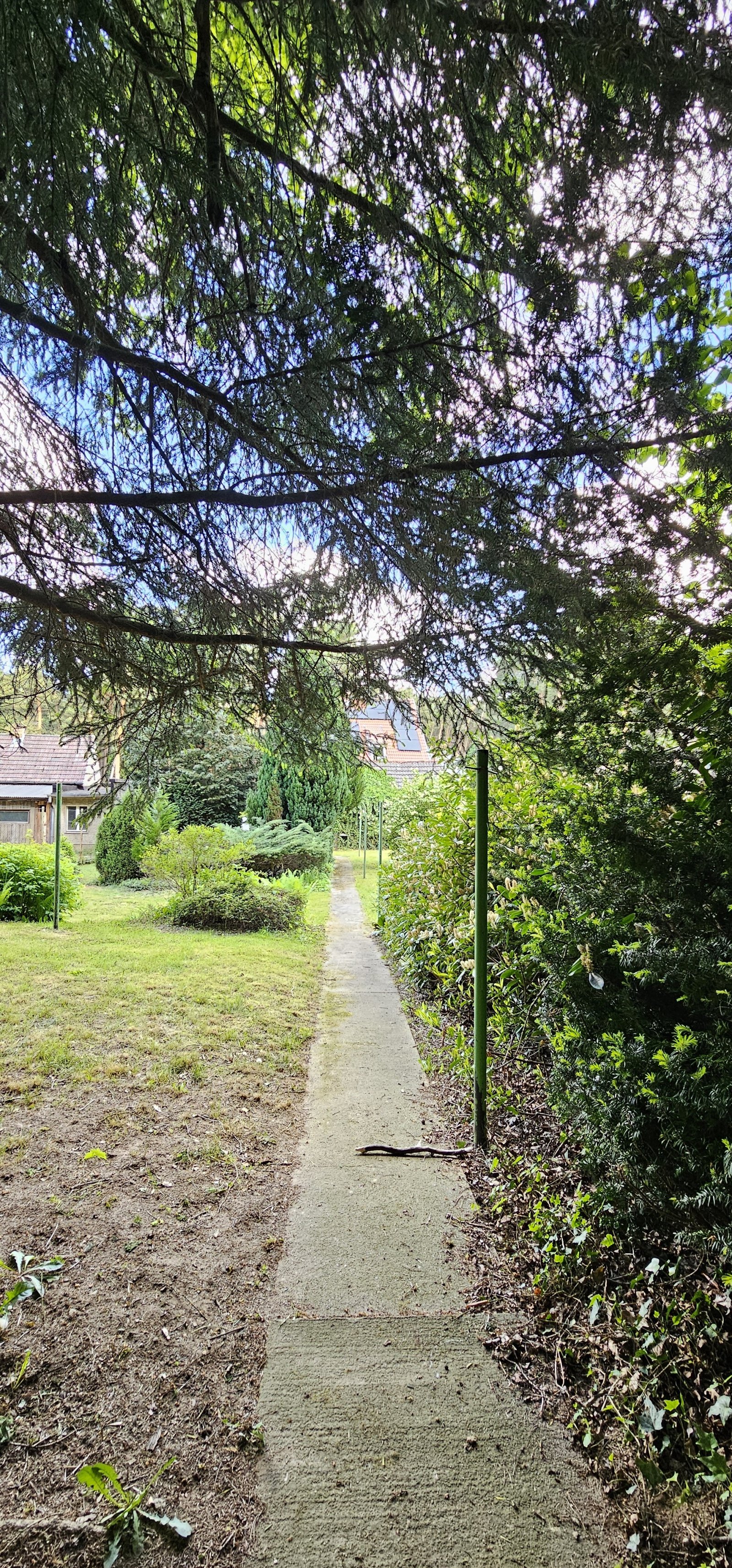 saniertes Mehrgenerationshaus in Reinsdorf