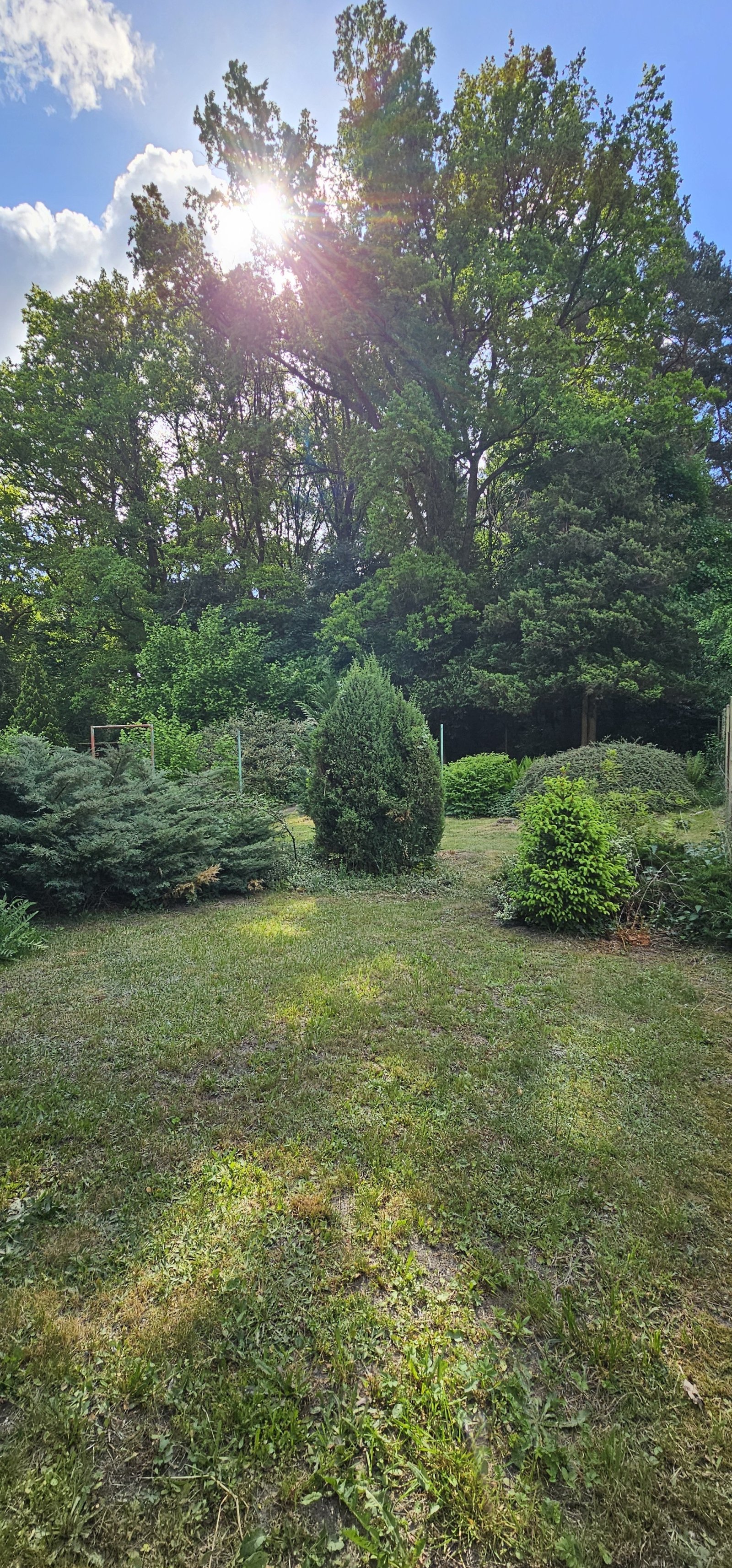 saniertes Mehrgenerationshaus in Reinsdorf