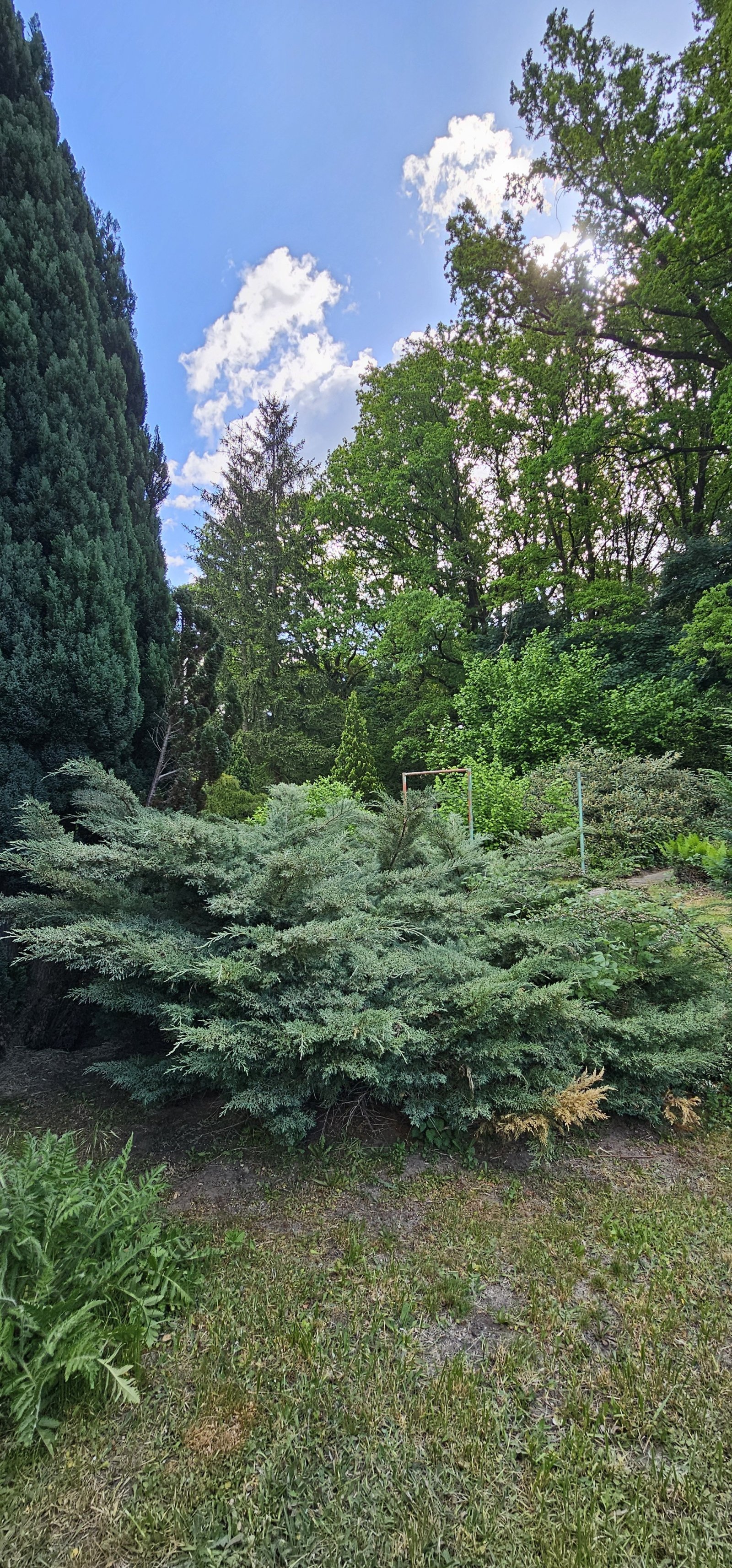 saniertes Mehrgenerationshaus in Reinsdorf