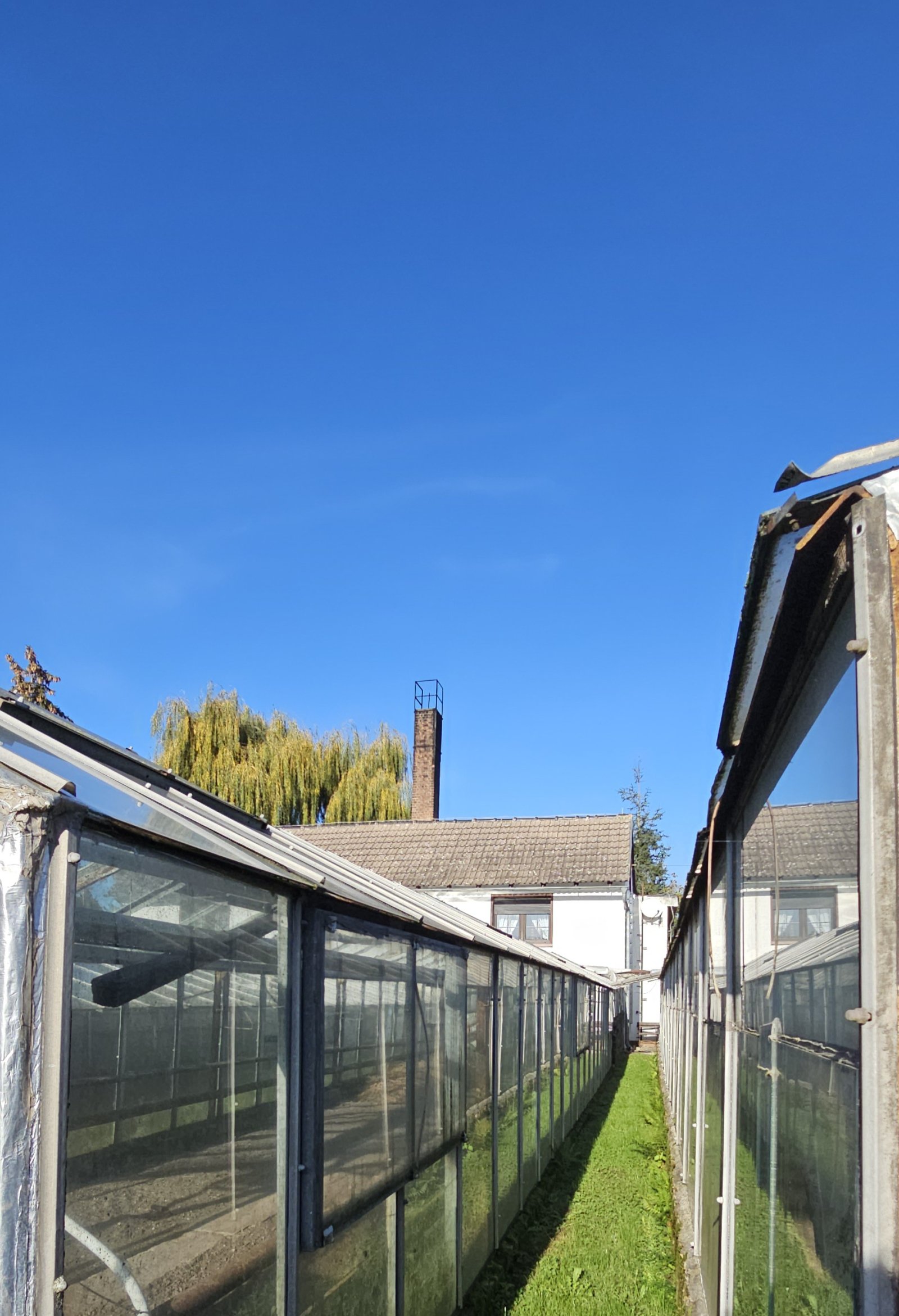  Ihr neues Projekt wartet mitten in Aken mit großem Grundstück mit Einfamilienhaus 