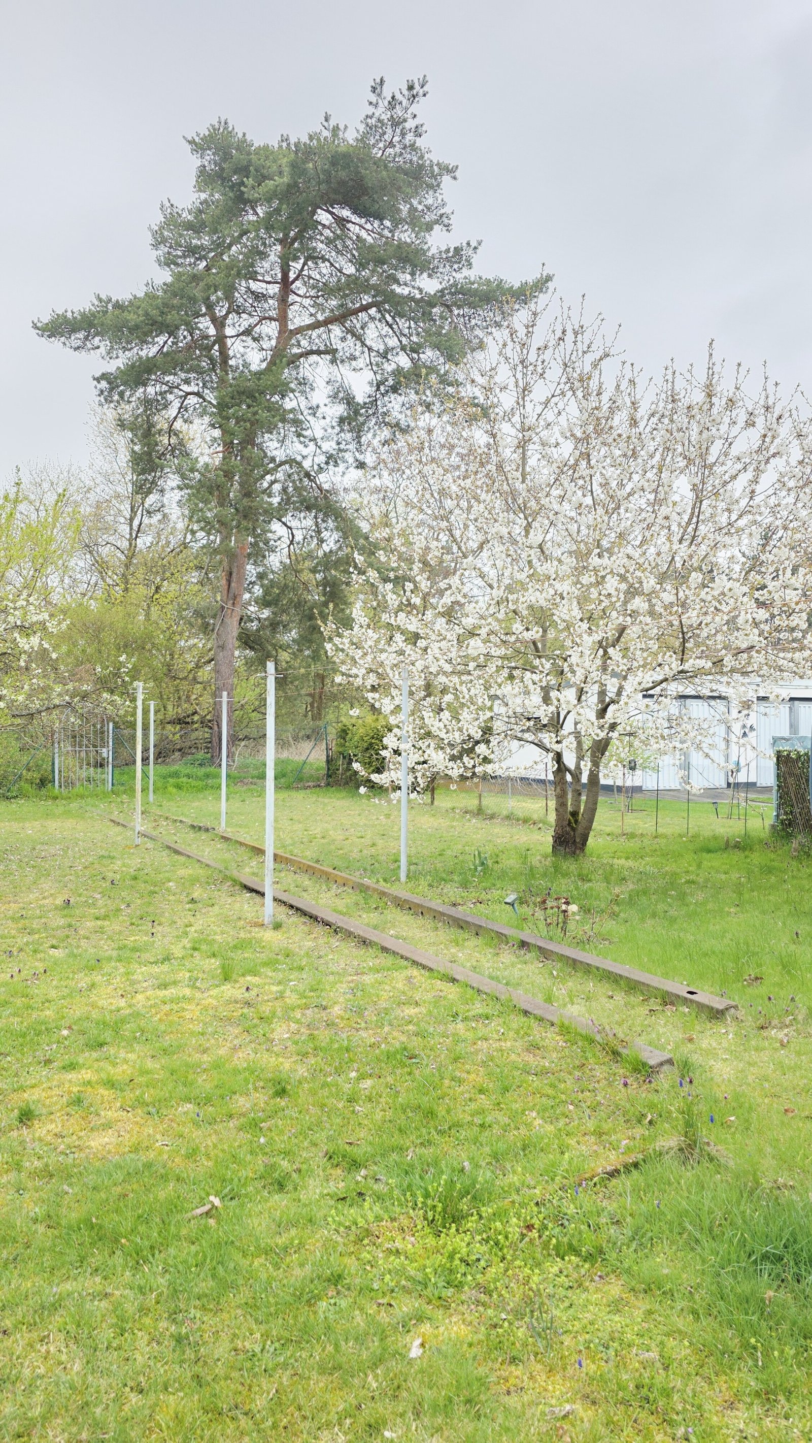 sanierungsbedürftige Doppelhaushälfte in begehrter Lage in Roßlau